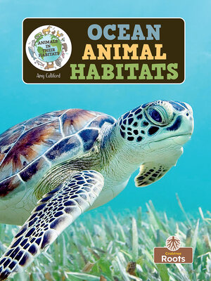 cover image of Ocean Animal Habitats